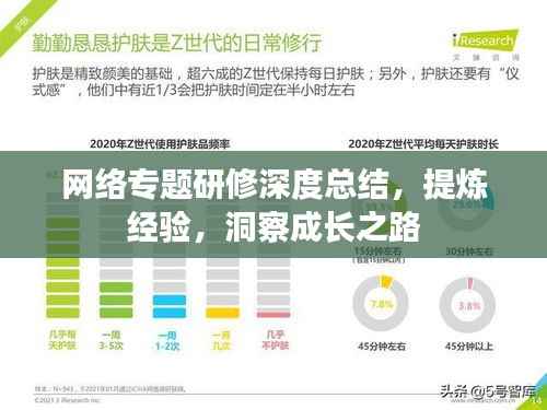 网络专题研修深度总结,提炼经验,洞察成长之路