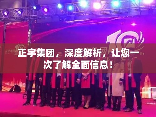 正宇集团,深度解析,让您一次了解全面信息!