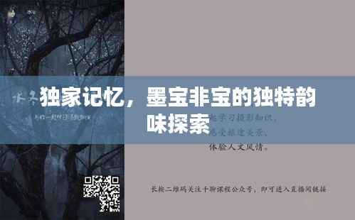 独家记忆,墨宝非宝的独特韵味探索