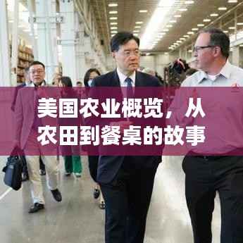 美国农业概览，从农田到餐桌的故事，百度带你探索！
