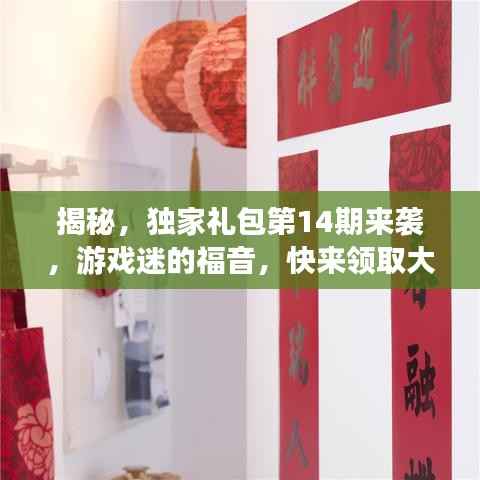 揭秘,独家礼包第14期来袭,游戏迷的福音,快来领取大礼包!