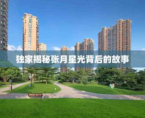 独家揭秘张月星光背后的故事