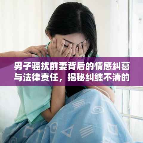 男子骚扰前妻背后的情感纠葛与法律责任,揭秘纠缠不清的法律红线