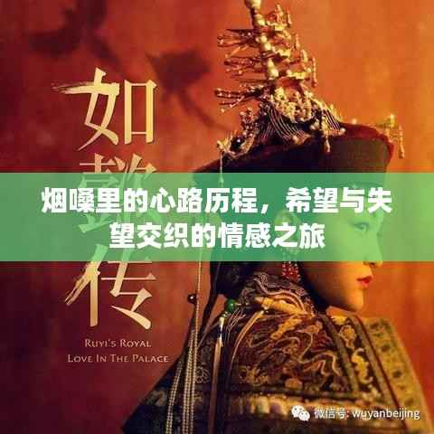 烟嗓里的心路历程,希望与失望交织的情感之旅