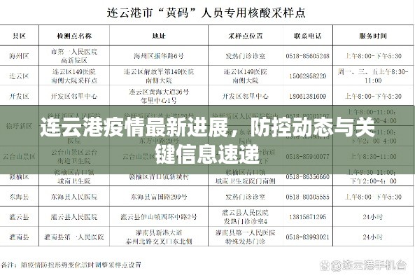 连云港疫情最新进展,防控动态与关键信息速递