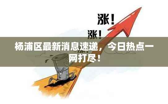 杨浦区最新消息速递,今日热点一网打尽!