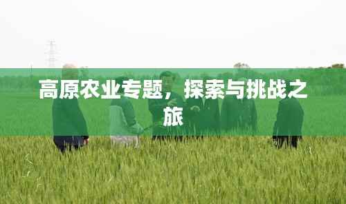 高原农业专题,探索与挑战之旅
