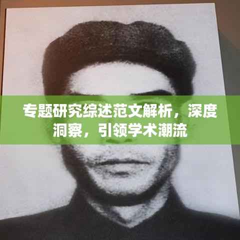 专题研究综述范文解析,深度洞察,引领学术潮流