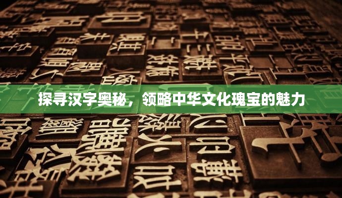 探寻汉字奥秘,领略中华文化瑰宝的魅力