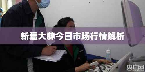 新疆大蒜今日市场行情解析