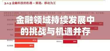 金融领域持续发展中的挑战与机遇并存