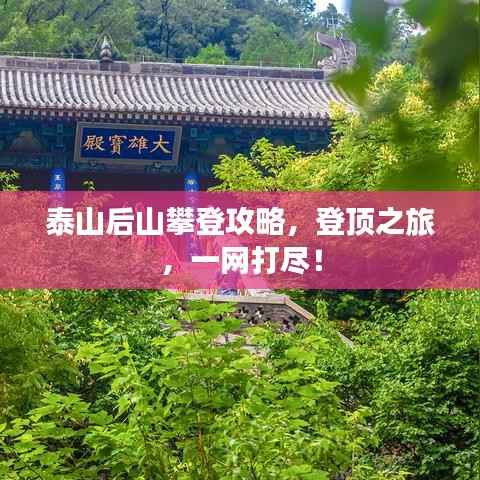 泰山后山攀登攻略,登顶之旅,一网打尽!