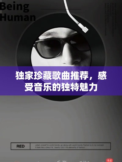 独家珍藏歌曲推荐,感受音乐的独特魅力