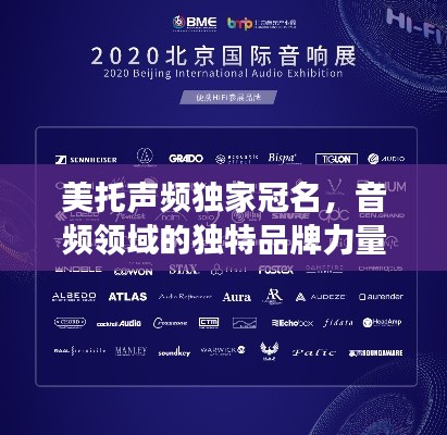 美托声频独家冠名,音频领域的独特品牌力量与魅力展现